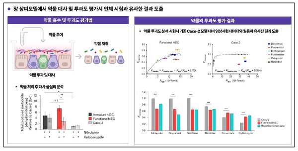 Istand Program 오가노이드사이언스, 국내 최초 FDA 'ISTAND'에 흡수도 시험법 제출